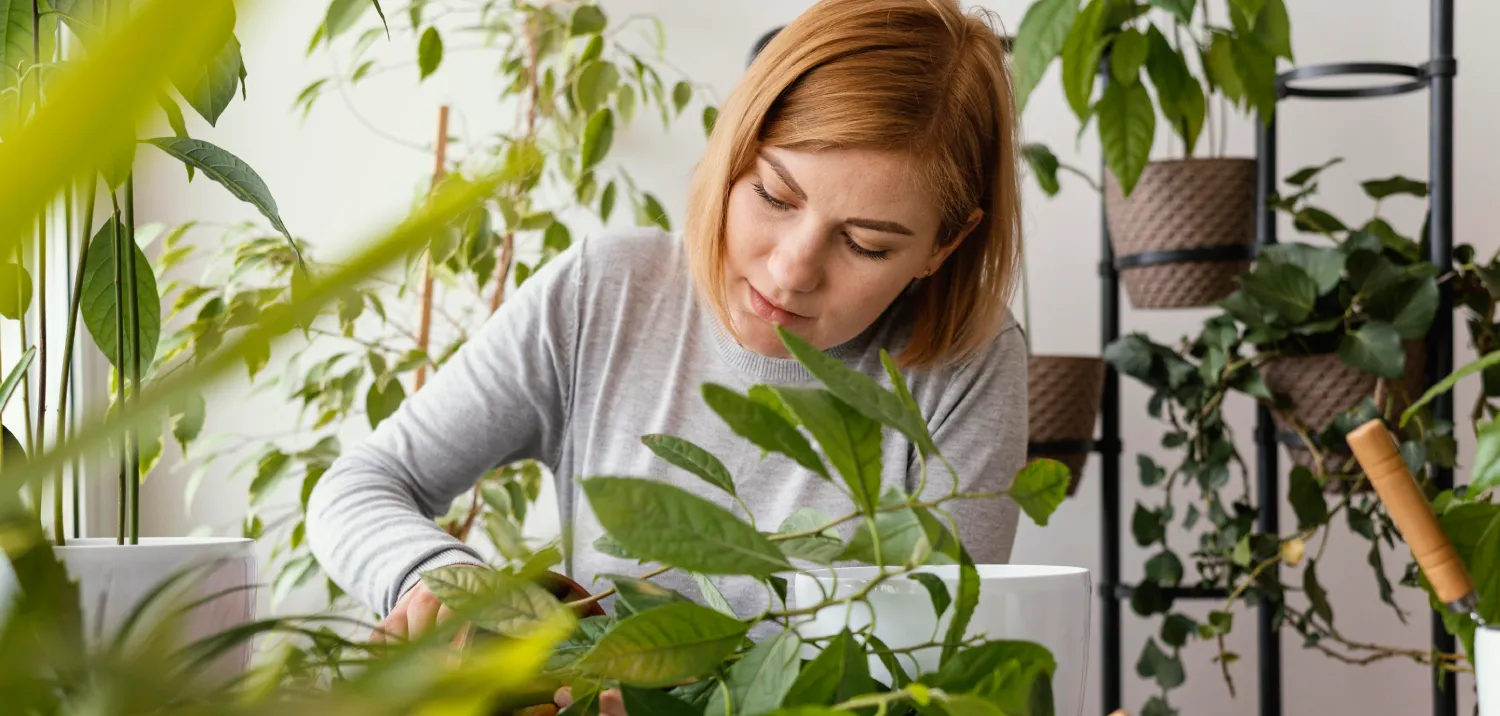 How to Create a Sustainable Lifestyle