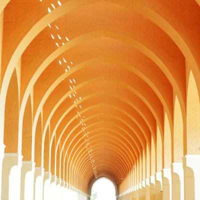 Shutterstock 105551657